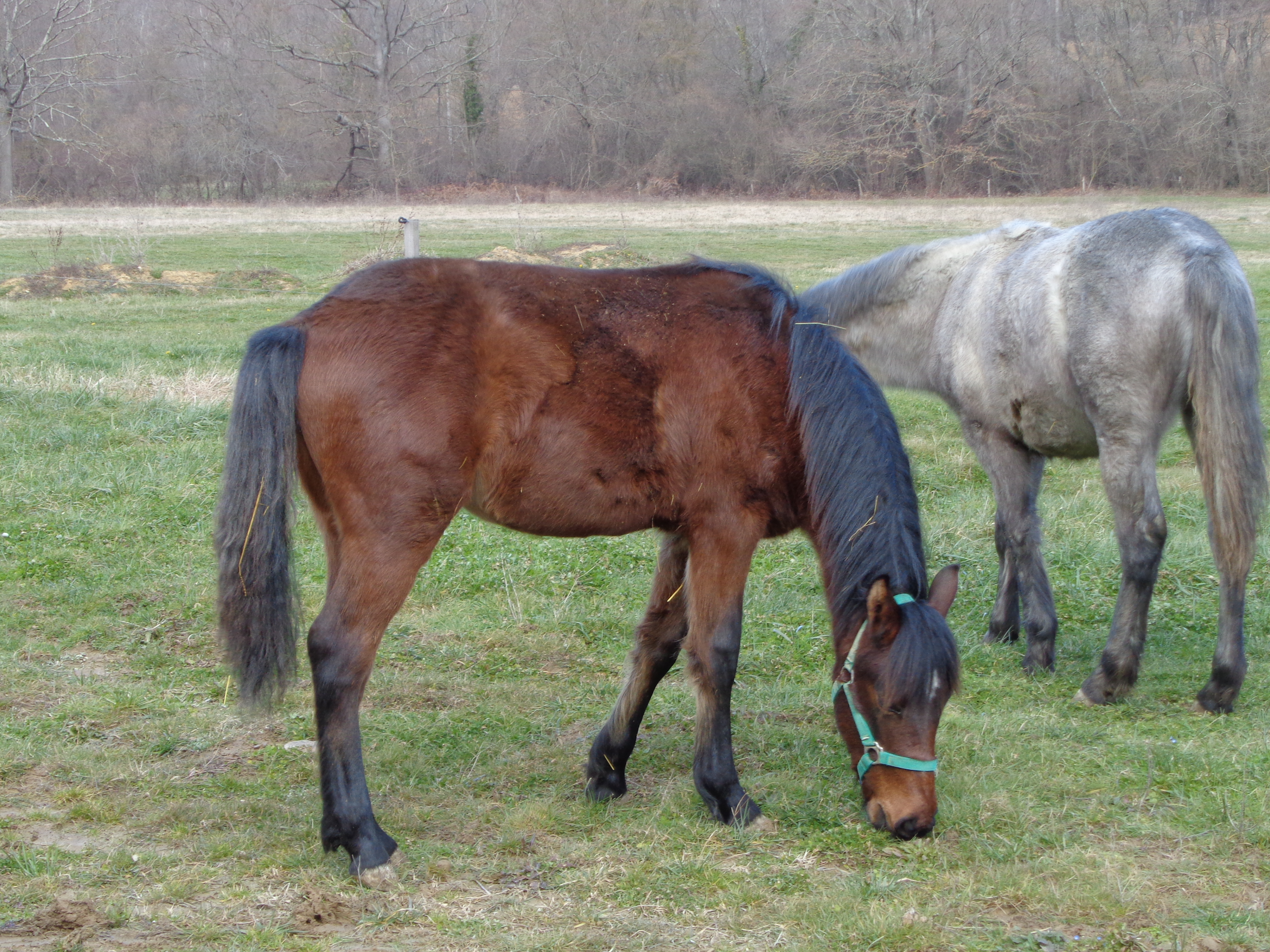 Dsc00043