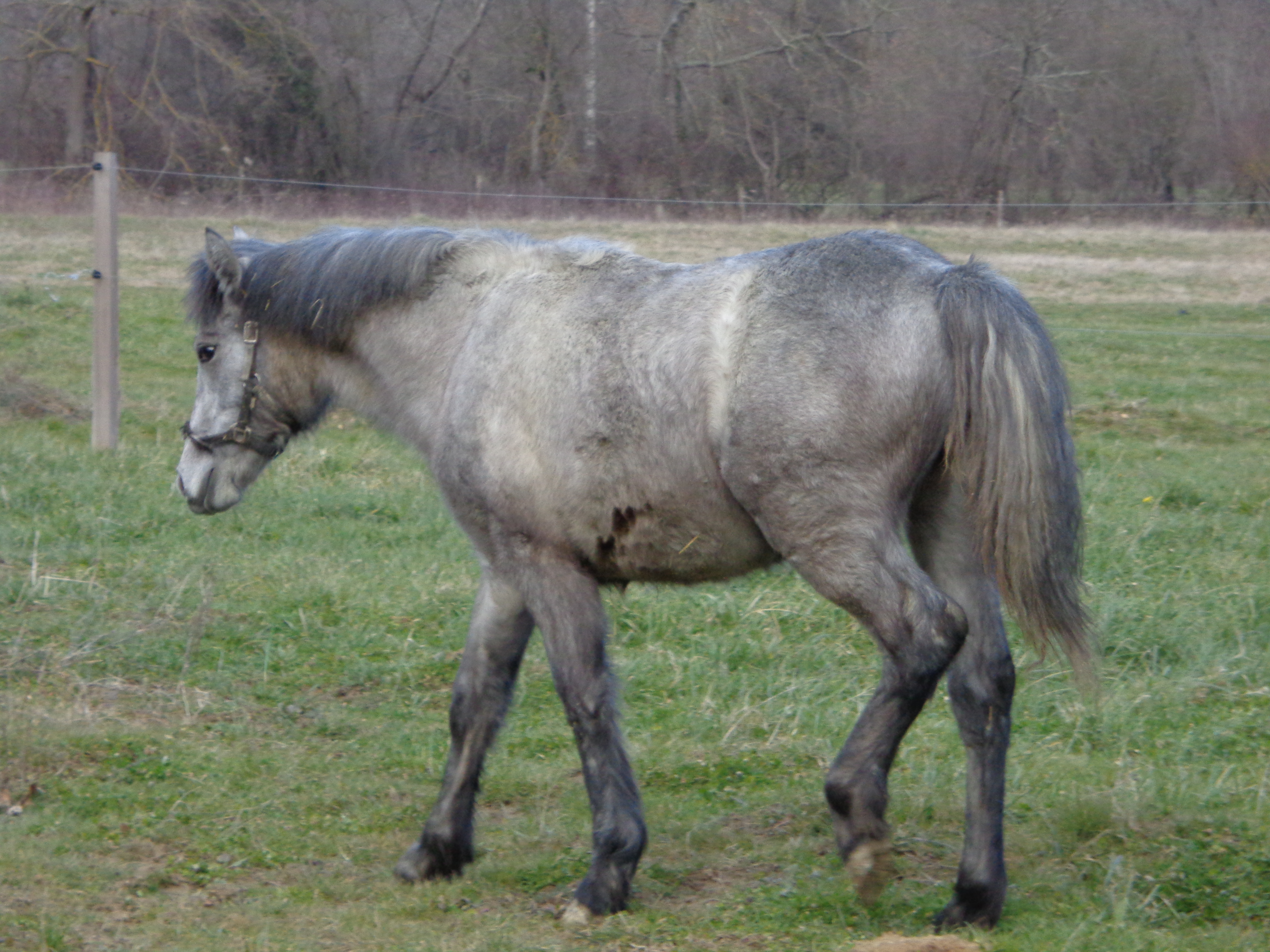 Dsc00048