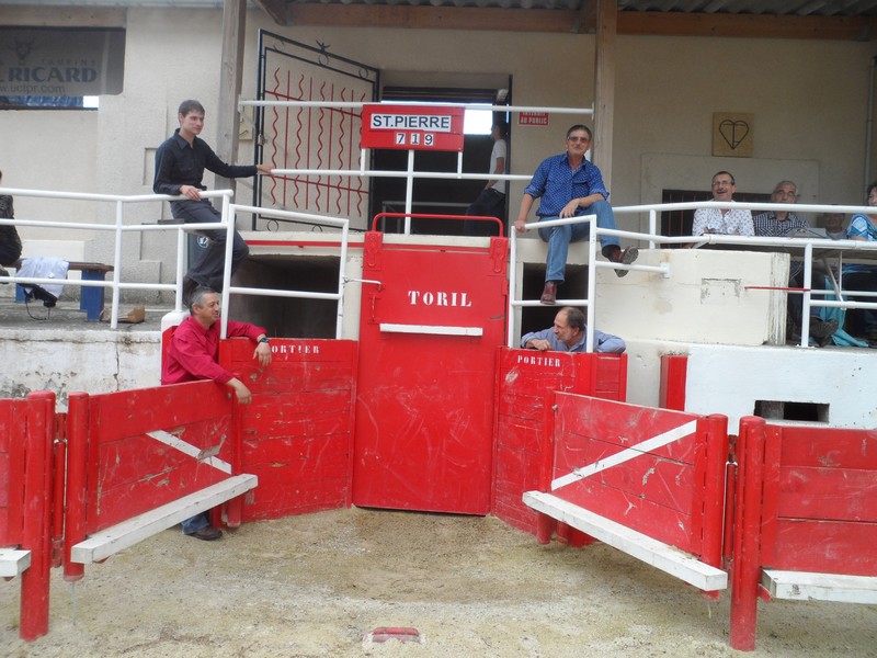 Toril 5