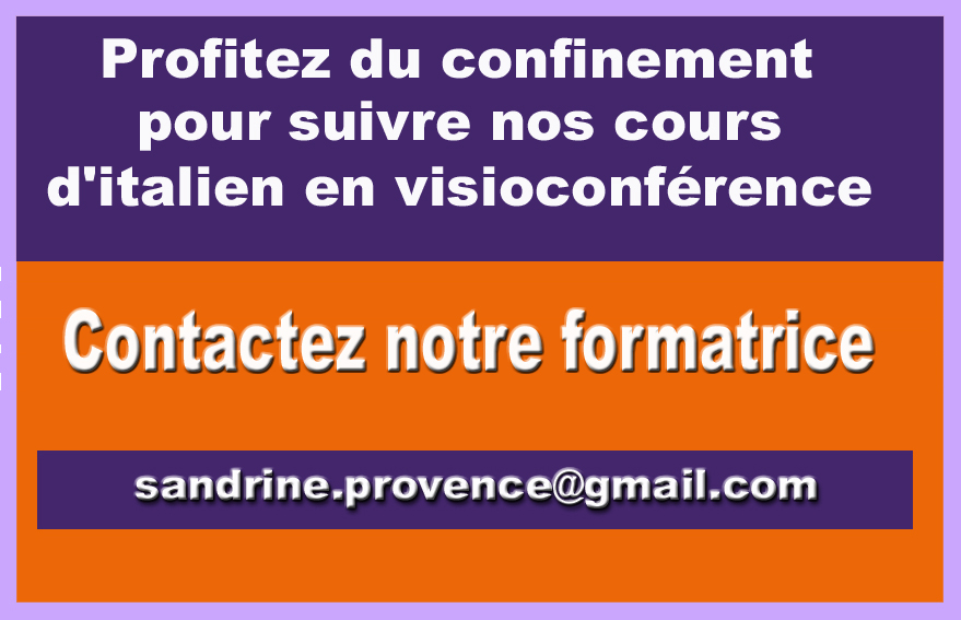 Visioconference3