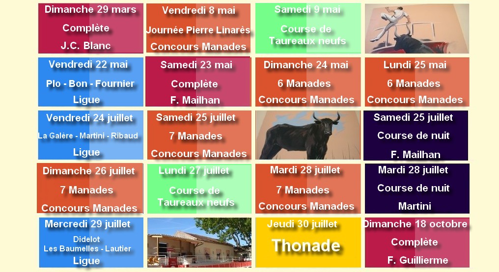 Tableau 2015 bicolor