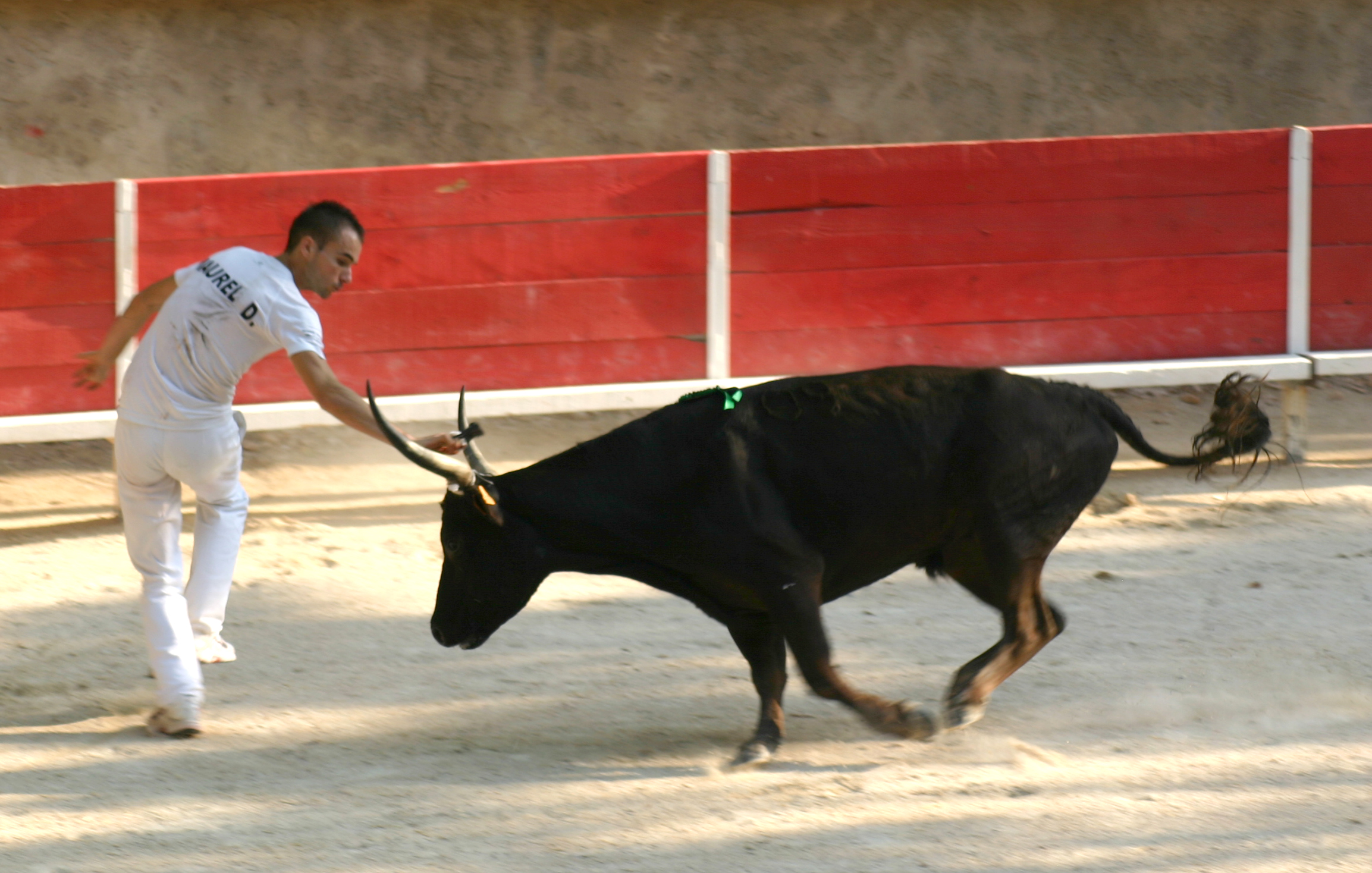 Eyguieres 01 datragnan