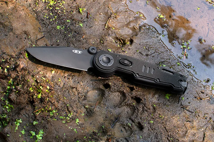 Image zt 2