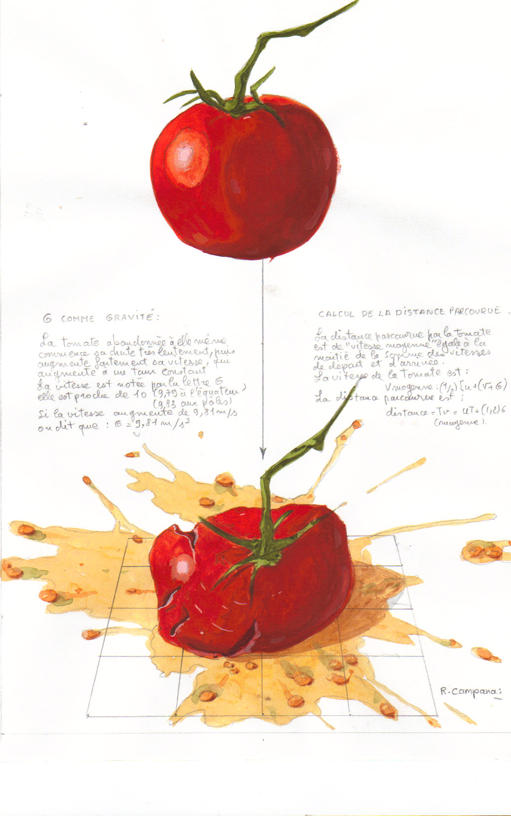 Peintures 028