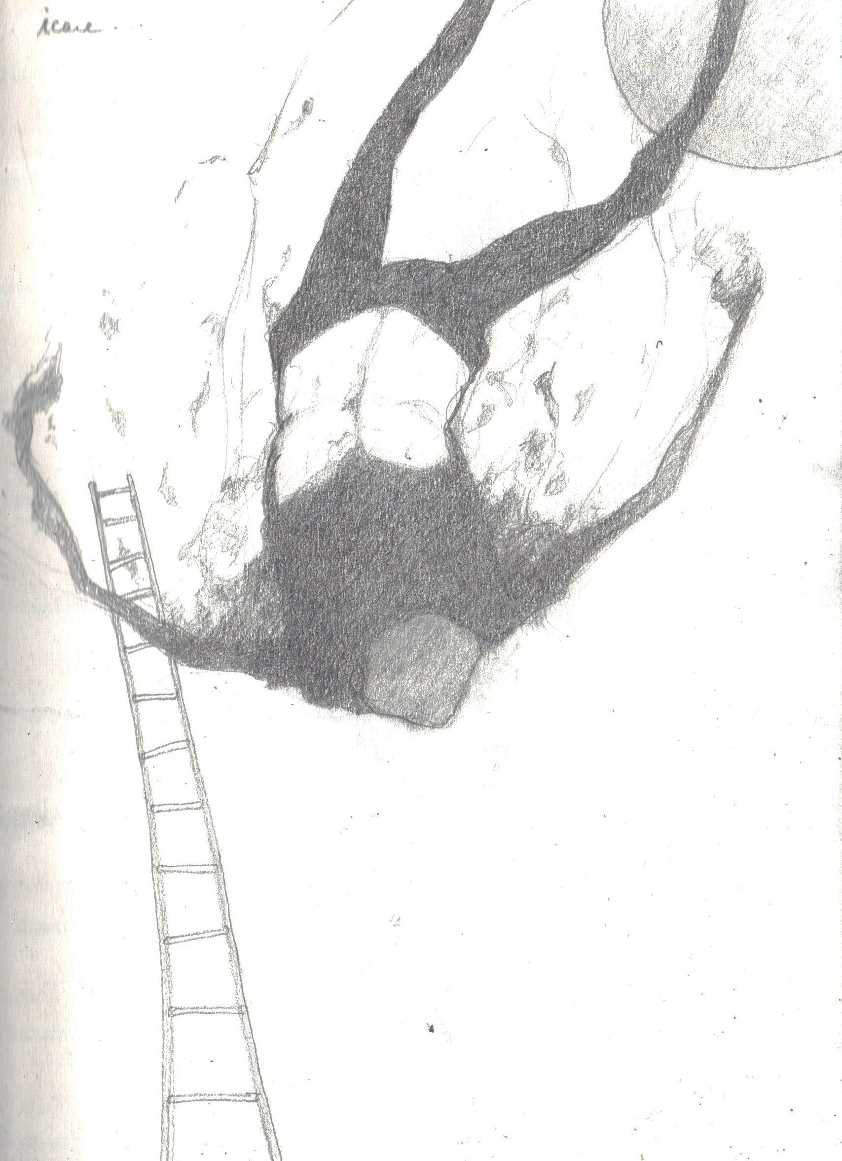 006 3 