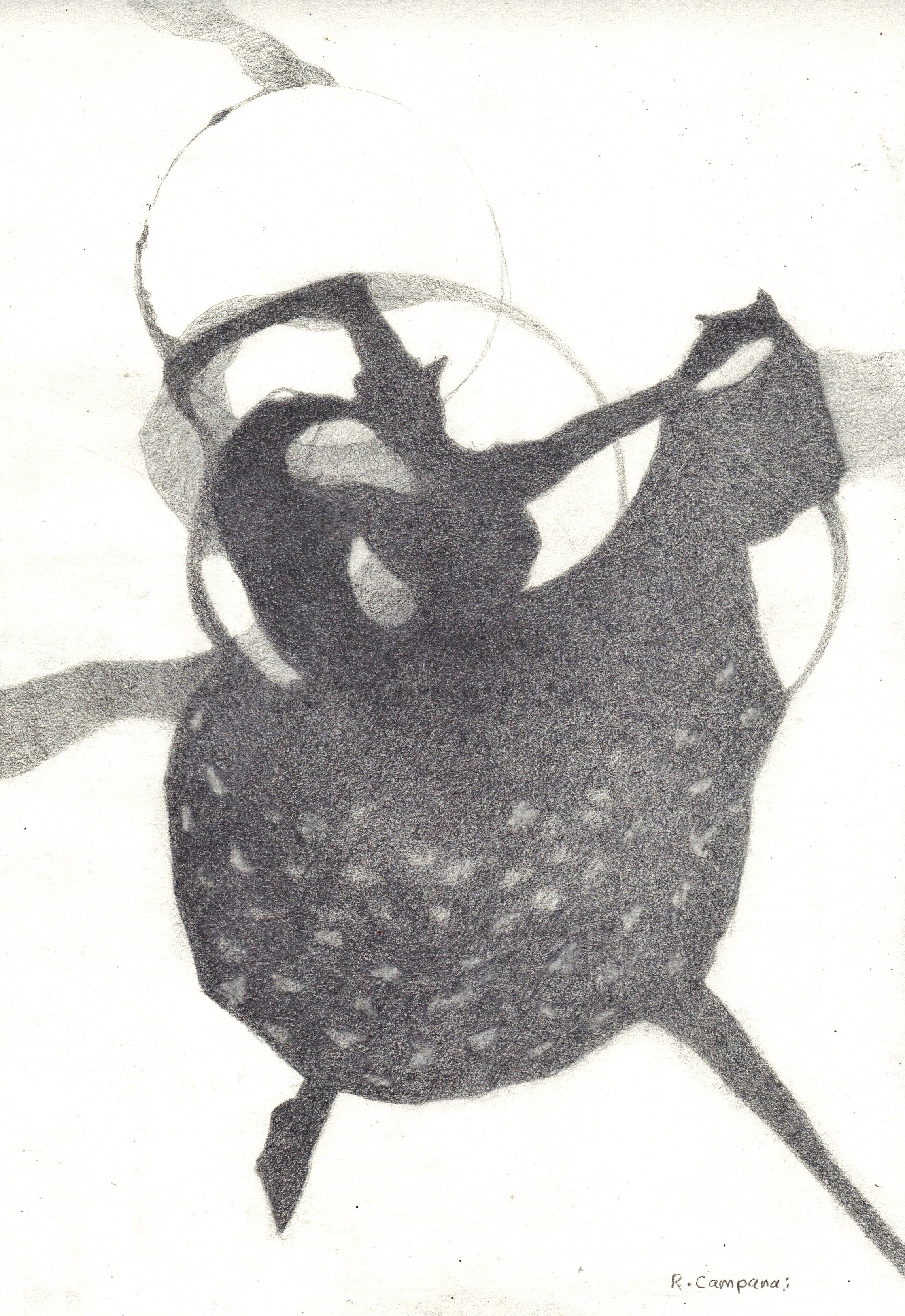 Flamenco