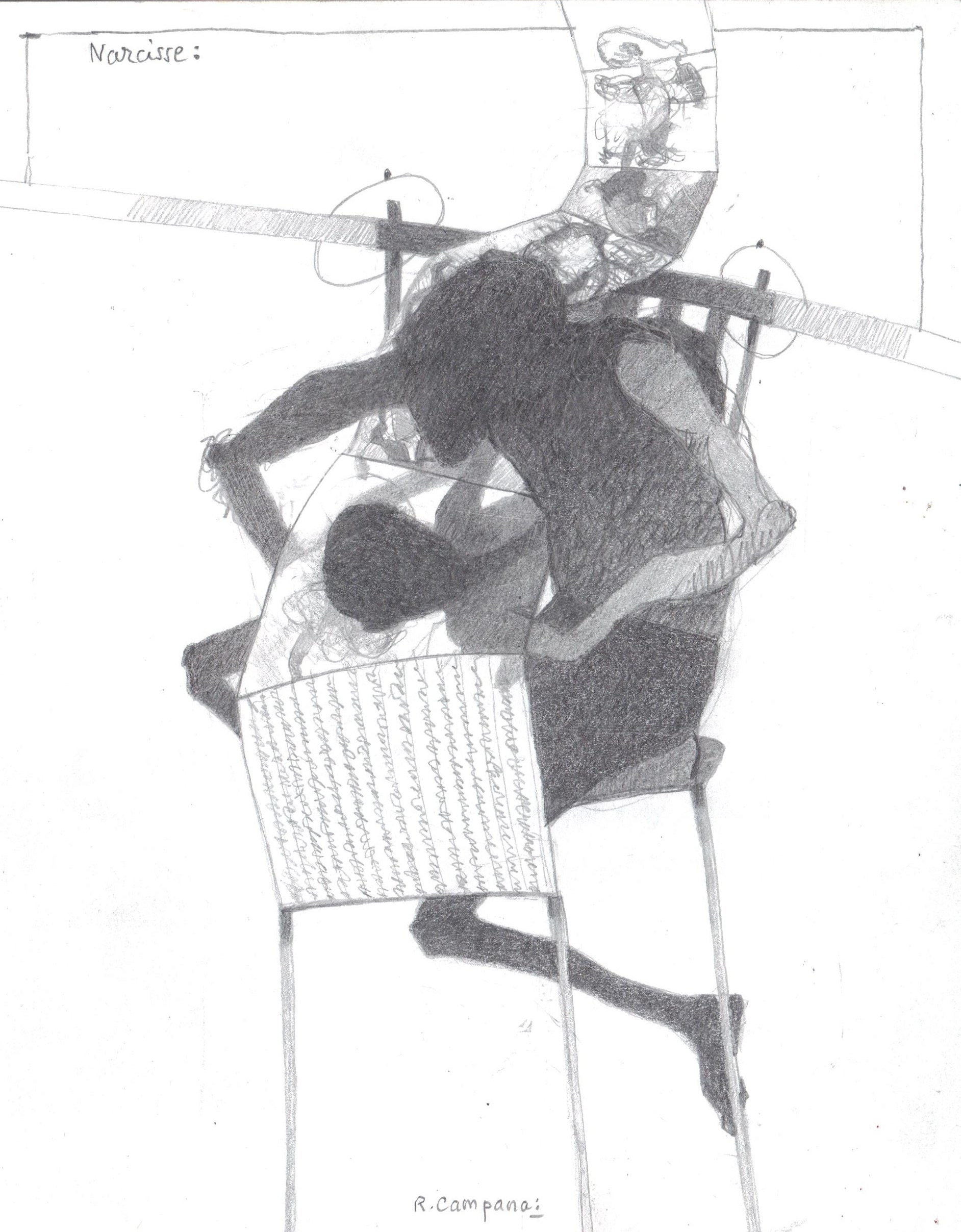 Narcisse 1