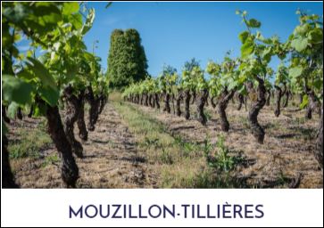Cru Mouzillon - Tillières. Muscadet de sélection parcellaire. Grands Vins blancs secs de garde.