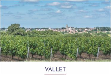 Cru Vallet. Muscadet de sélection parcellaire. Grands vins blancs secs de garde.