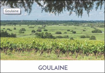 Cru Goulaine , Muscadet de sélection parcellaire. Vins blancs secs de garde.