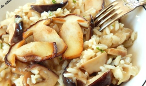 Risotto aux cepes