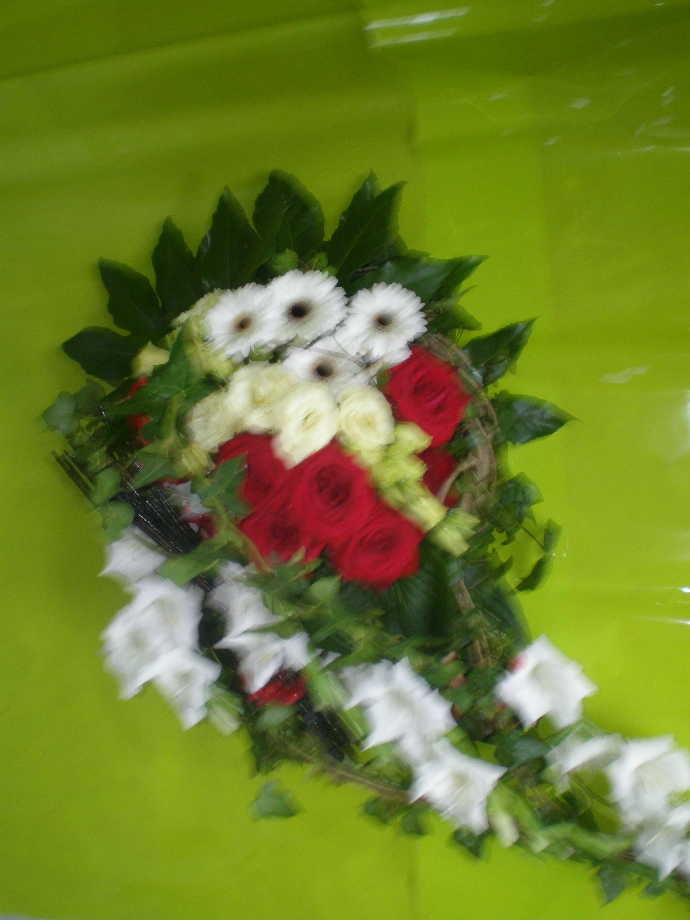 P1010097