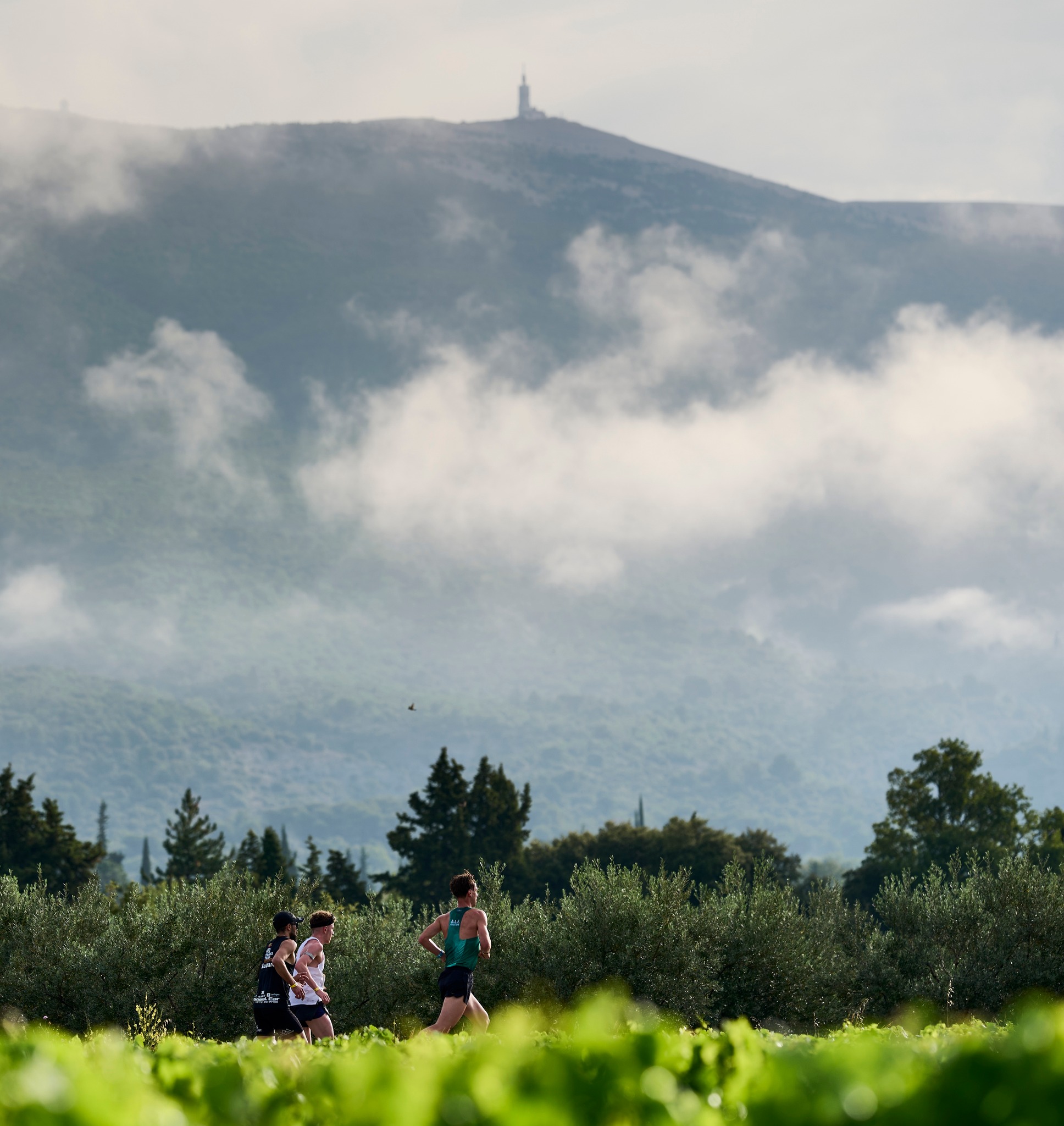 Mont ventoux coureurs10