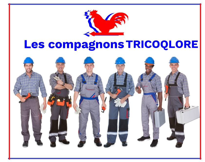 Les compagnons tricoqlore 1