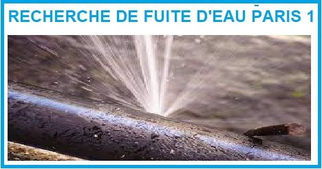 Recherche de fuite d'eau à Paris 1er
