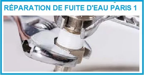 Faites la réparation des fuites d'eau paris 1 