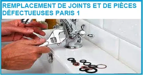 REMPLACEMENT DE JOINTS ET DE PIÈCES DÉFECTUEUSES PARIS 1