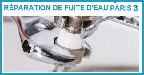 Faites la réparation des fuites d'eau paris 3