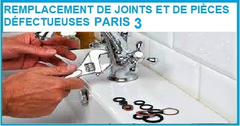 REMPLACEMENT DE JOINTS ET DE PIÈCES DÉFECTUEUSES PARIS 3