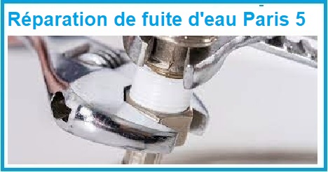 Faites la réparation des fuites d'eau d'eau paris 5