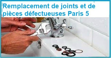 REMPLACEMENT DE JOINTS ET DE PIÈCES DÉFECTUEUSES PARIS 5