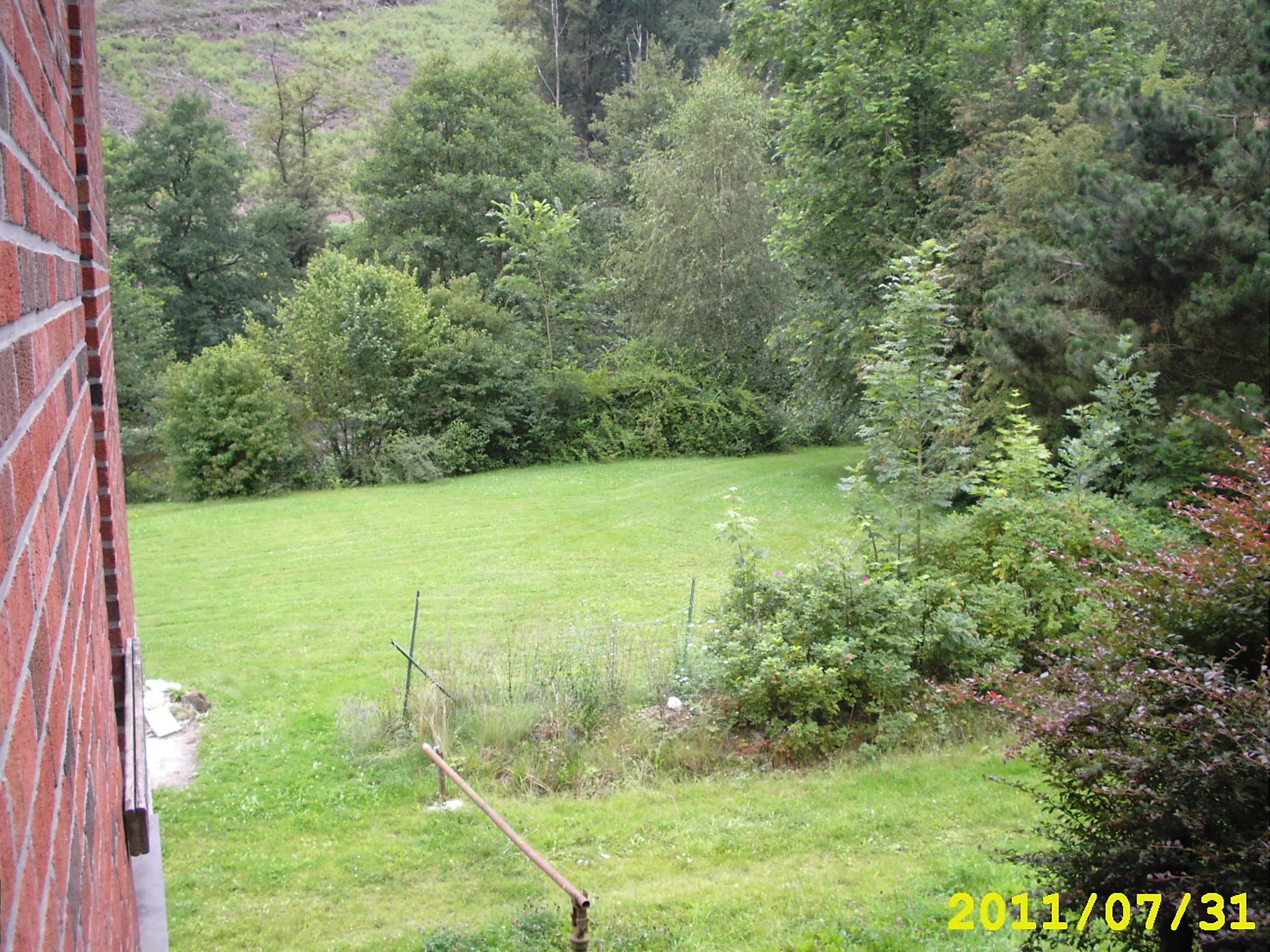 Img 0016