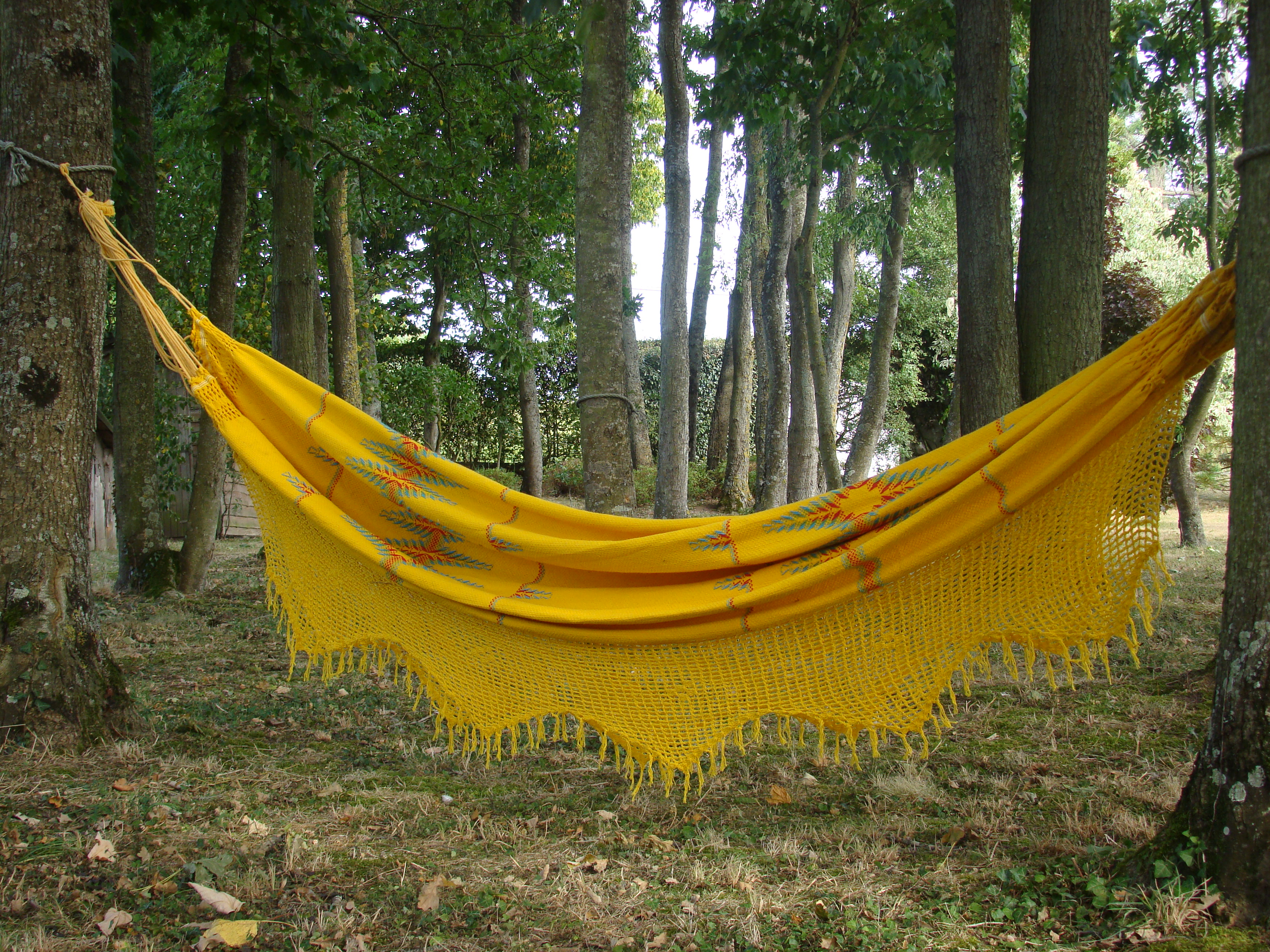 Ete 2009 472
