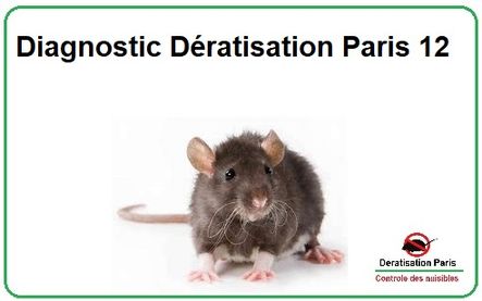 Diagnostic Dératisation Paris 12