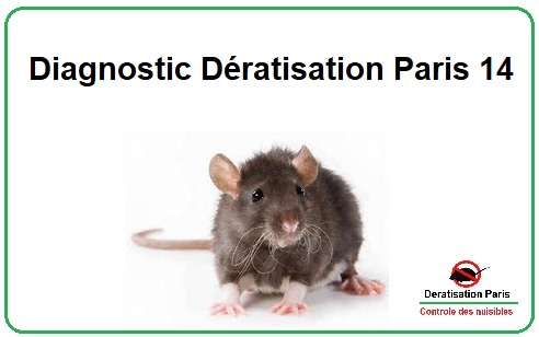 Diagnostic Dératisation Paris 14