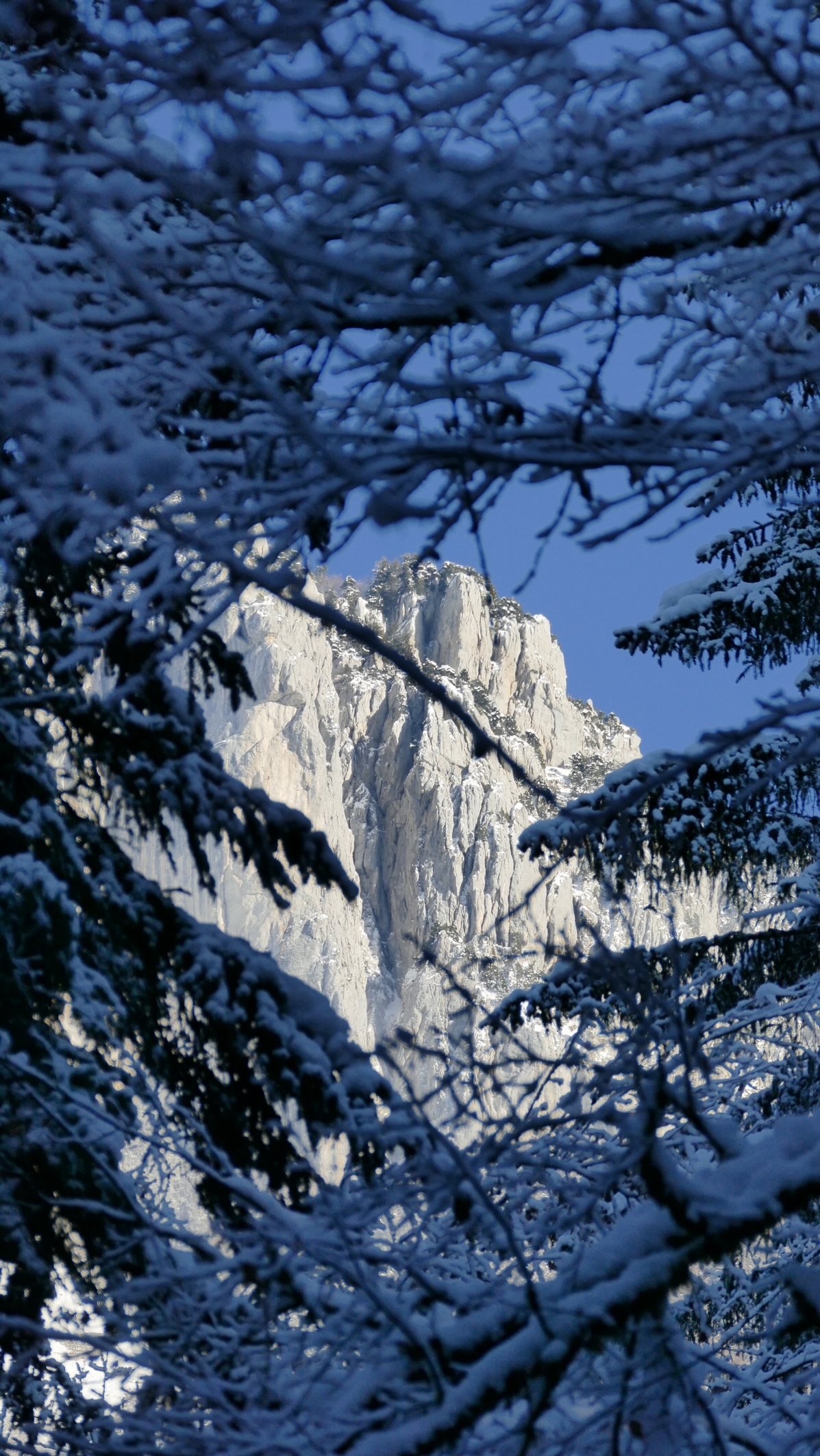 P1170266