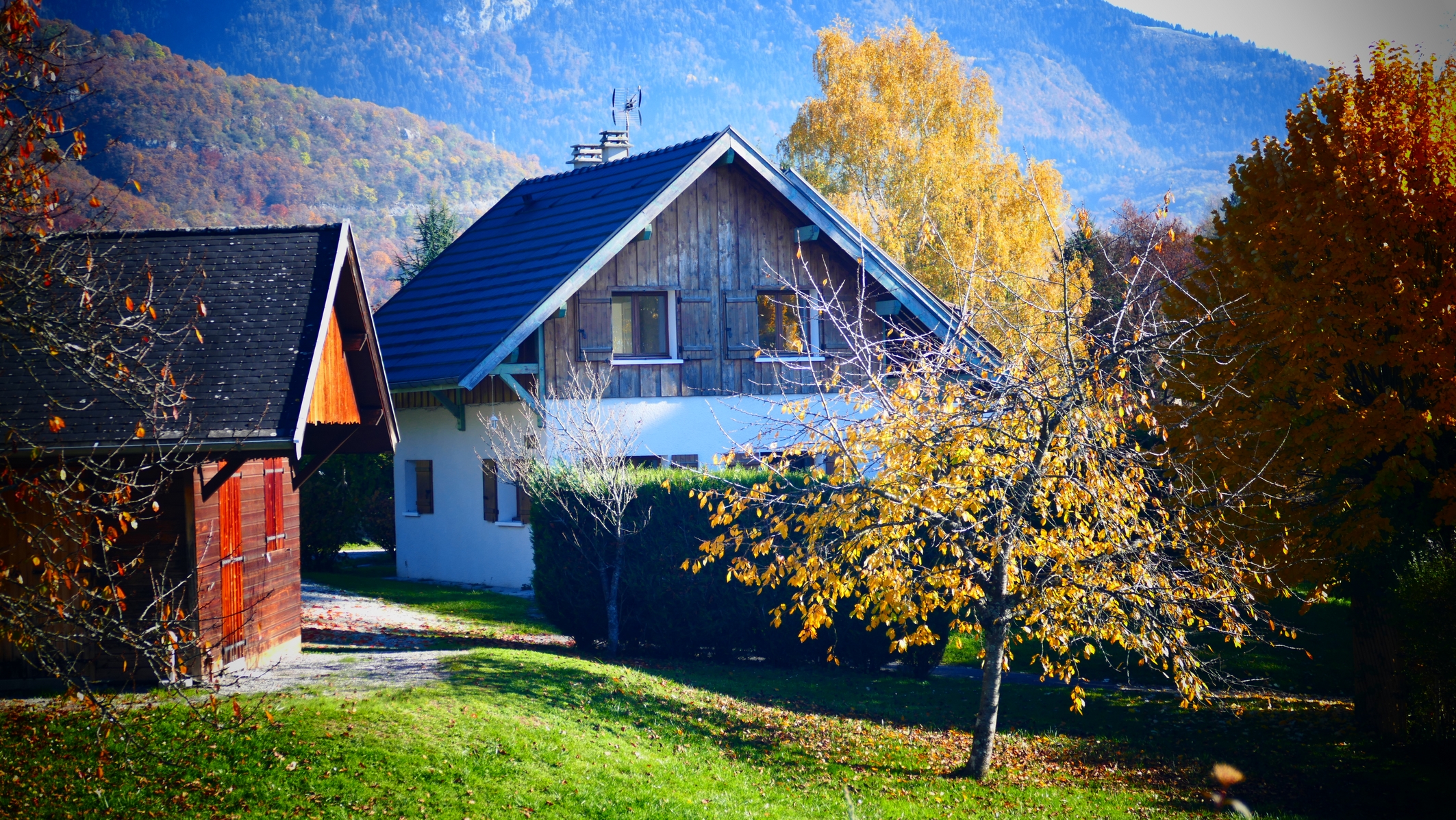 P1000971