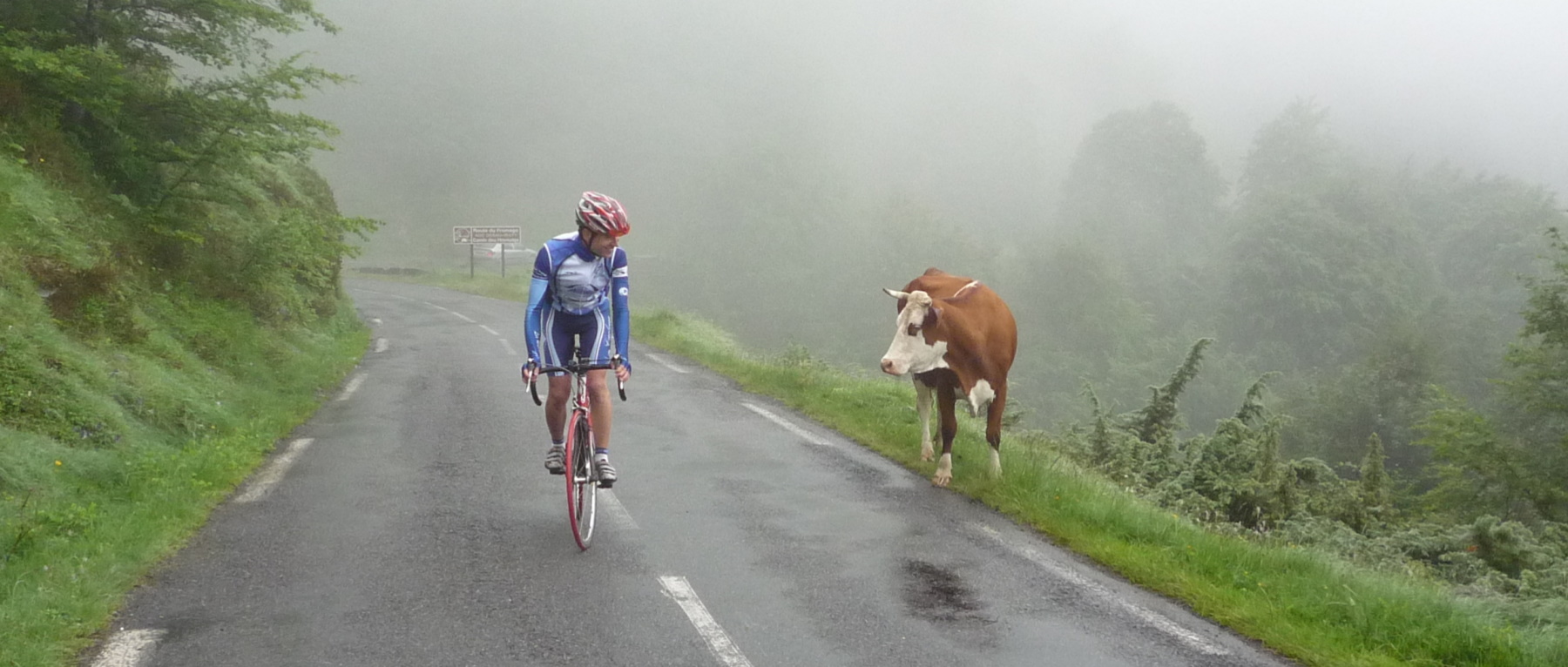 2009 aubisque