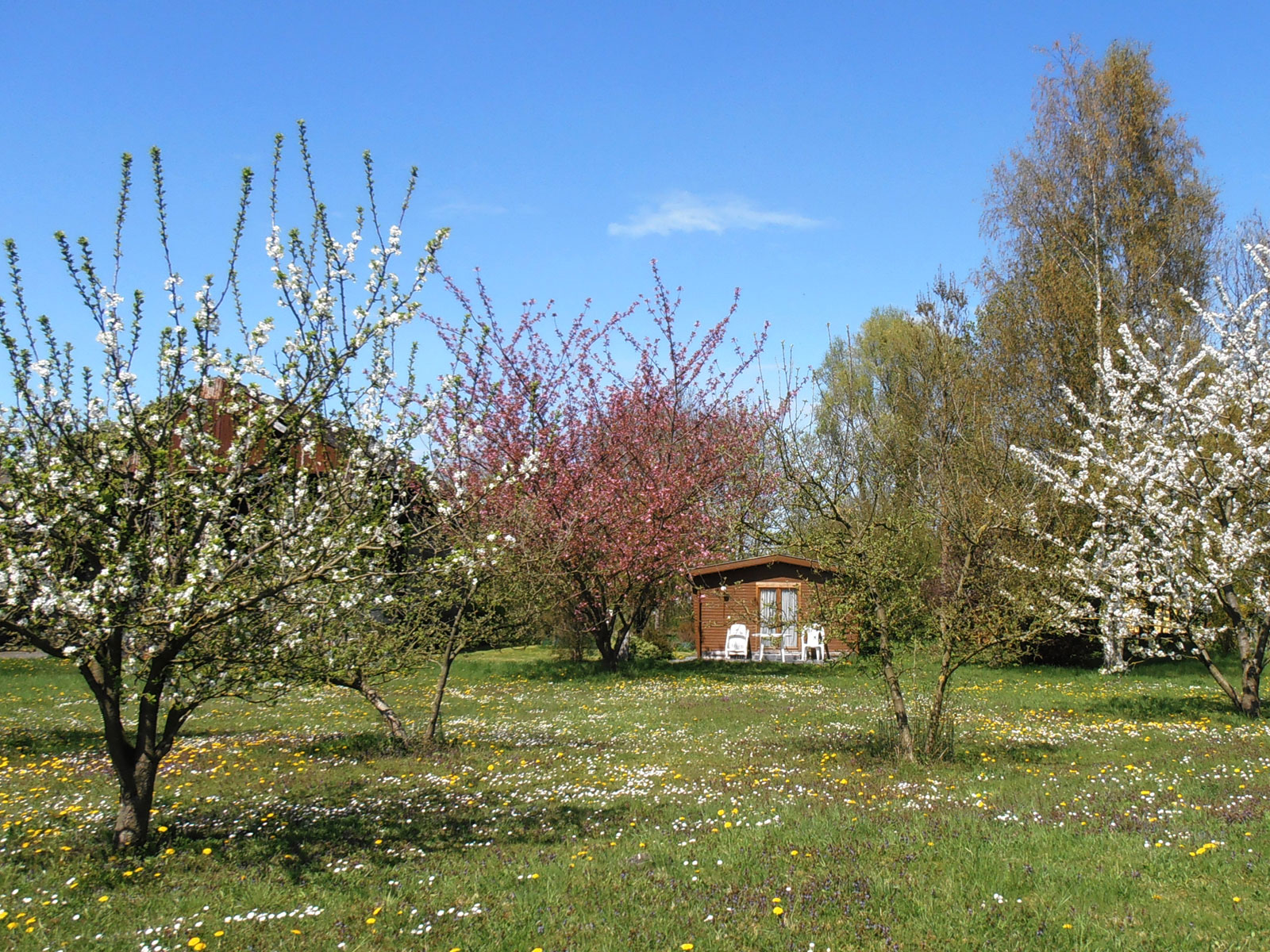 Pwz 2013 04 28 pwz en fleurs p4281387