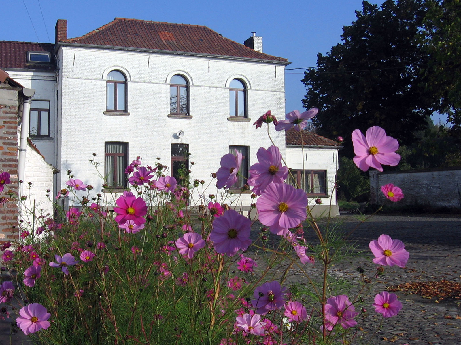 Pwz cour 82 2006 10 15