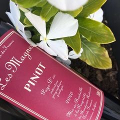 Pinot fleurs 