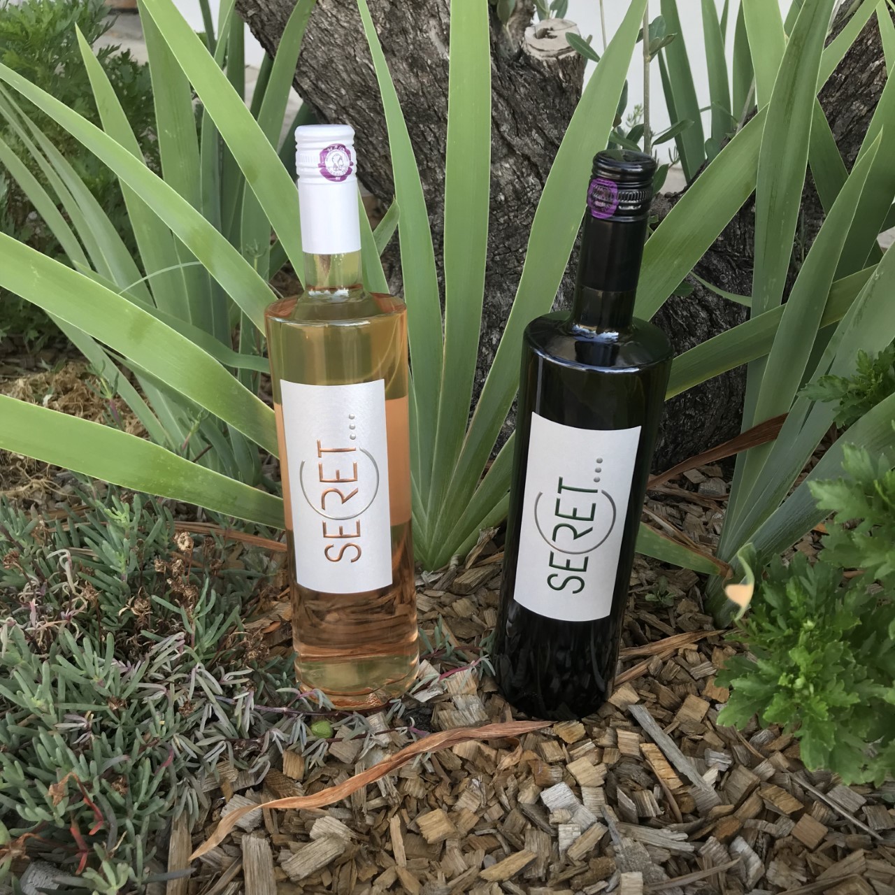 Secret-blanc-et-rose