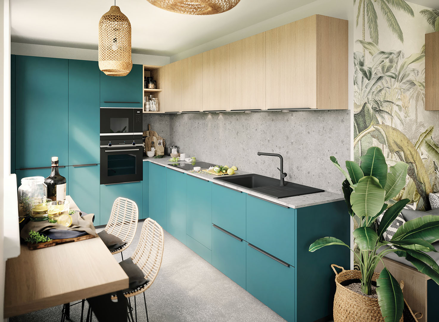 Cuisinova lons pau 64 cuisiniste cuisines 4 oasis urbaine vue 2