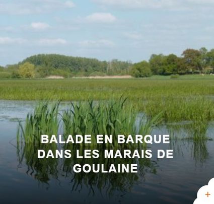 Balade en barque marais