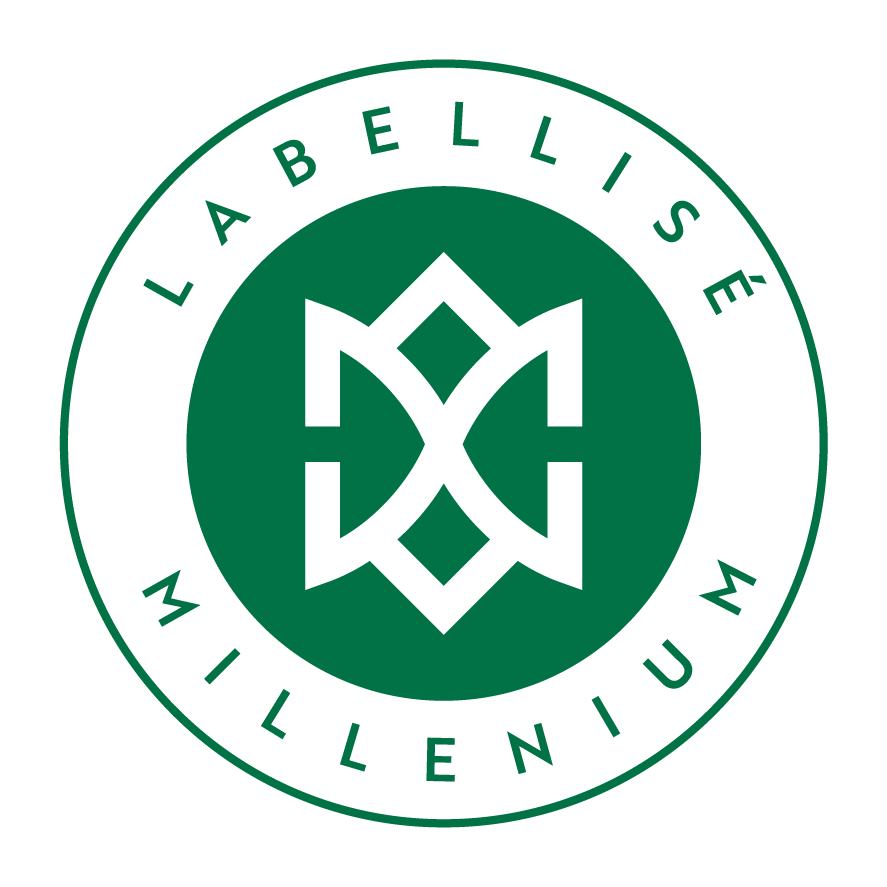 Exe logo projet labellise millenium fr horizontal couleurs 05