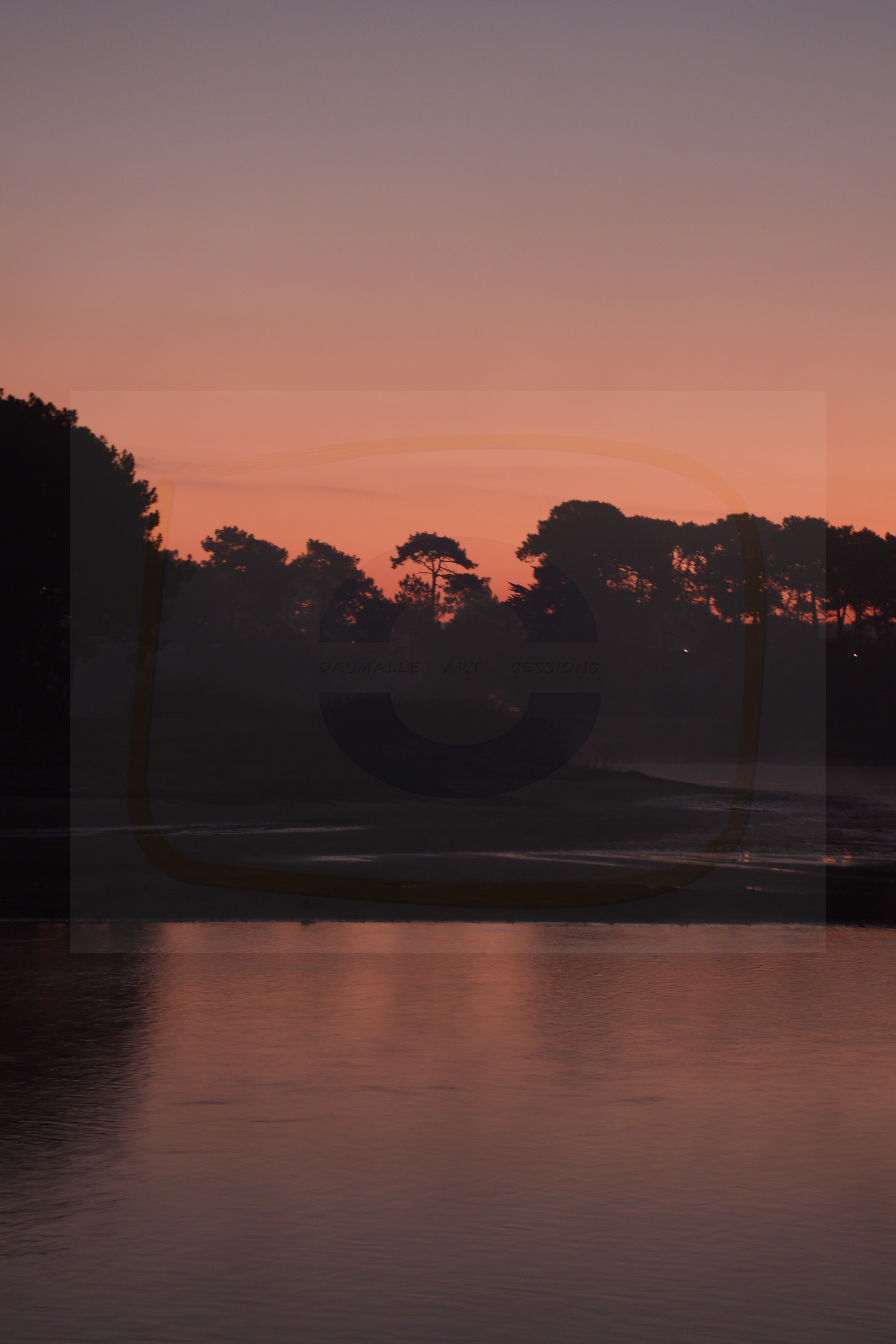  dsc6800 dxo 08 24102025 1