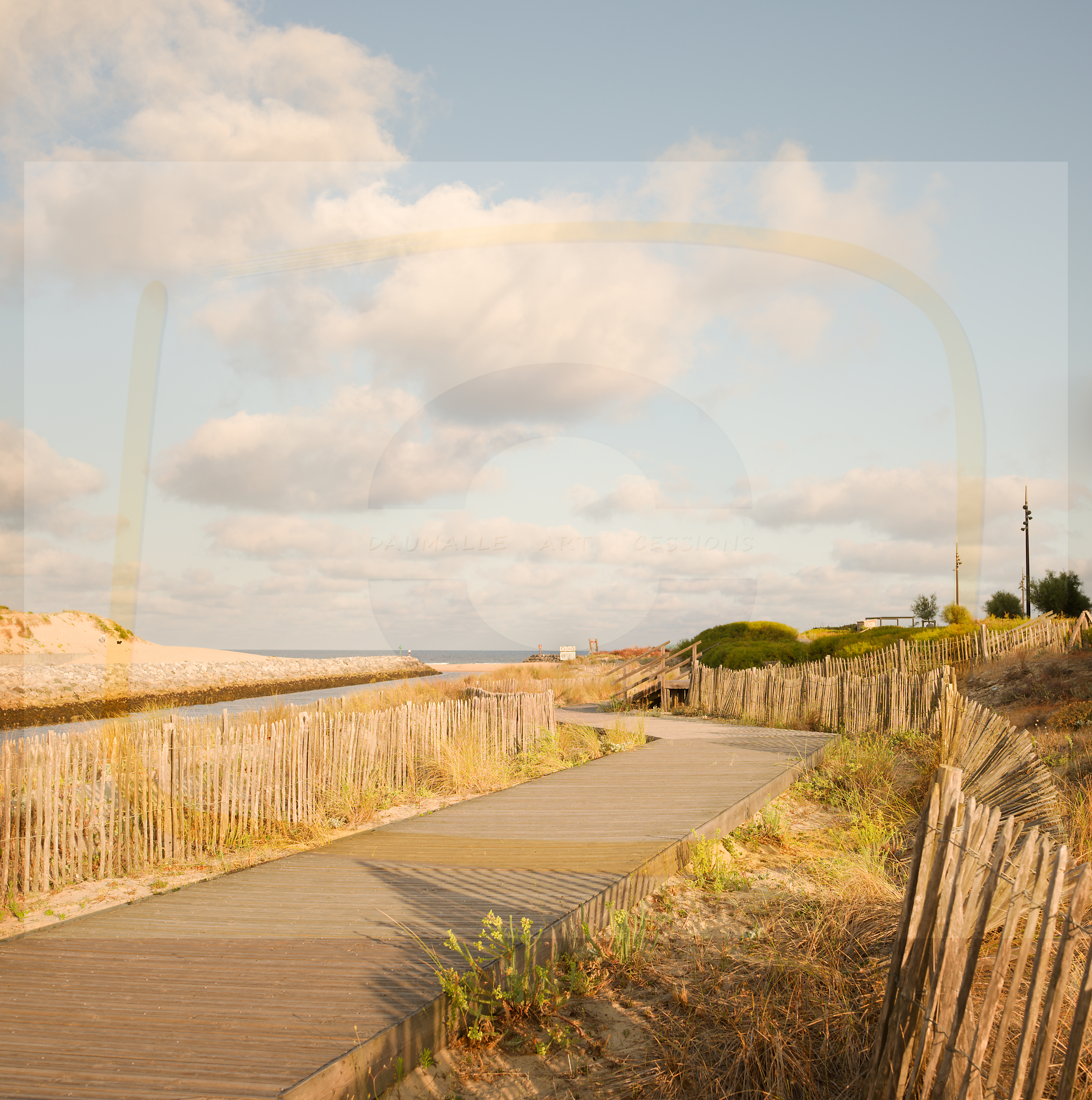 Dscf4636 dxo 08 28102025