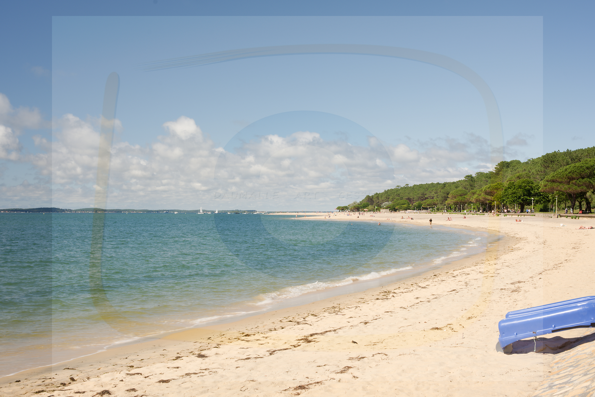 Dscf2540 dxo 08 28102025