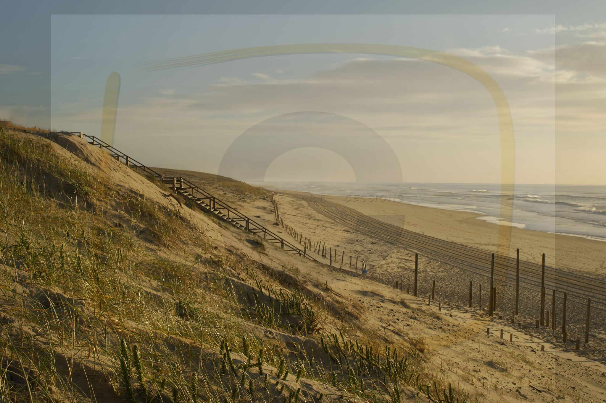  dsc9682 dxo 08 28102025