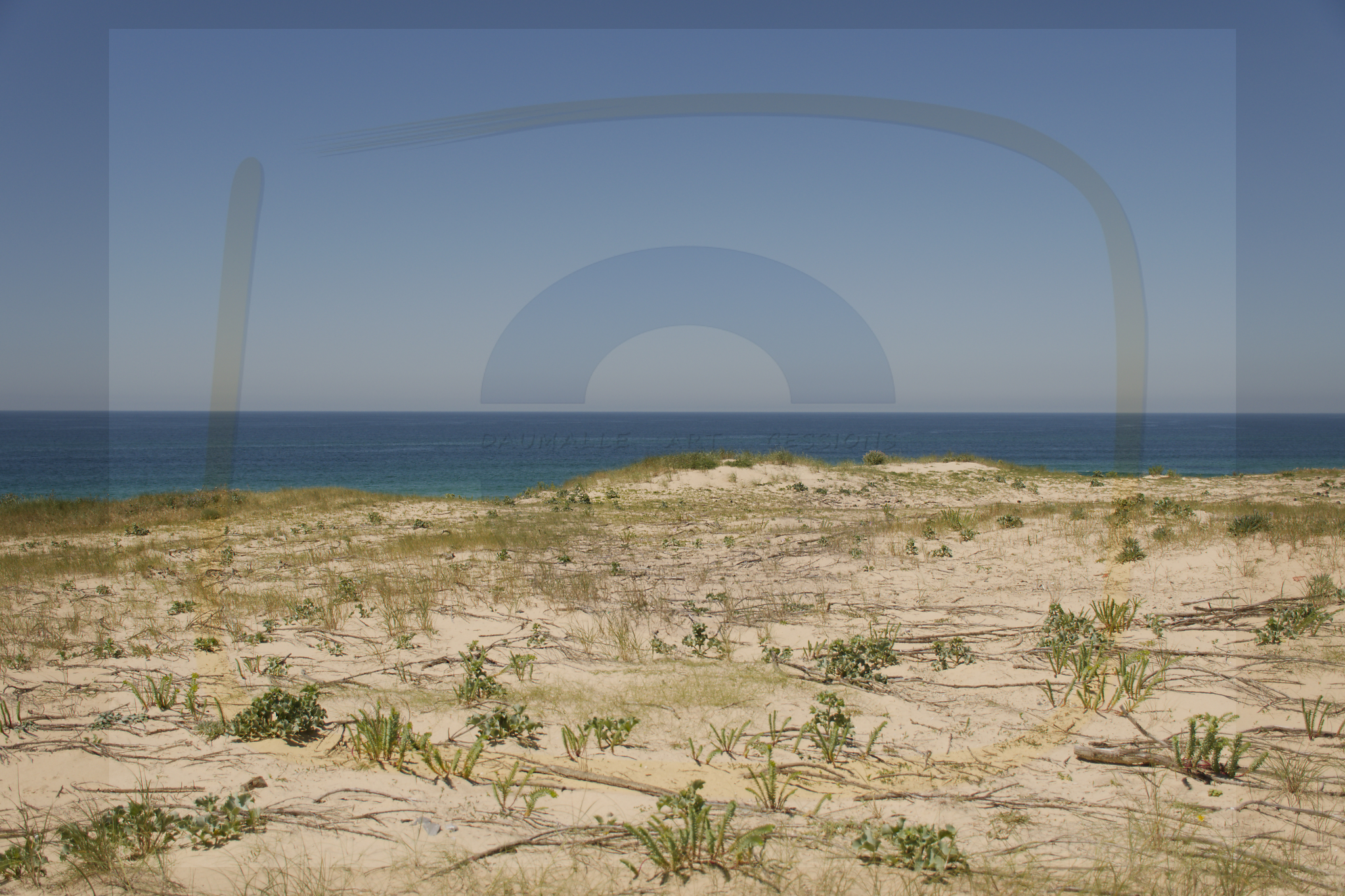  dsc4734 dxo 08 28102025