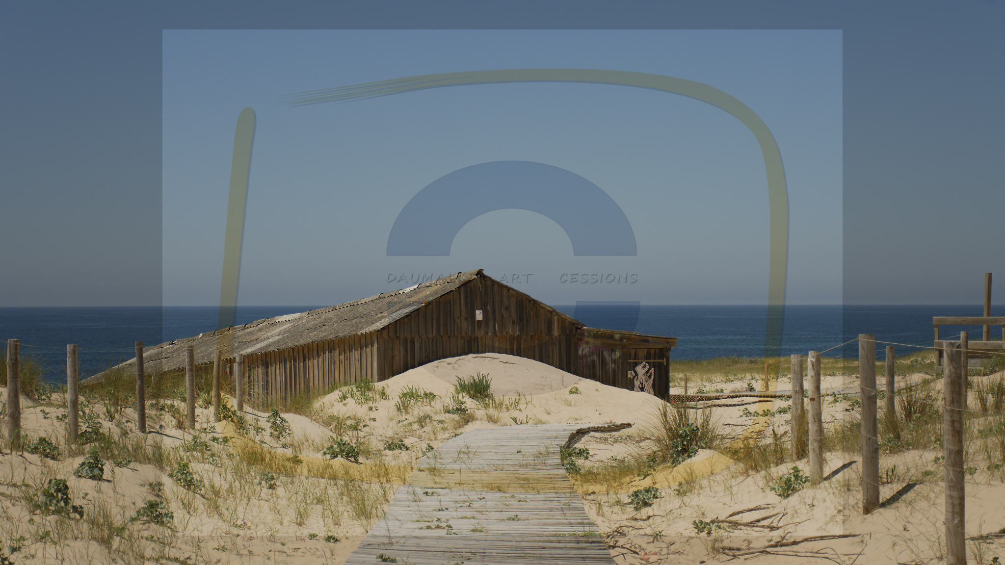  dsc4730 dxo 08 28102025