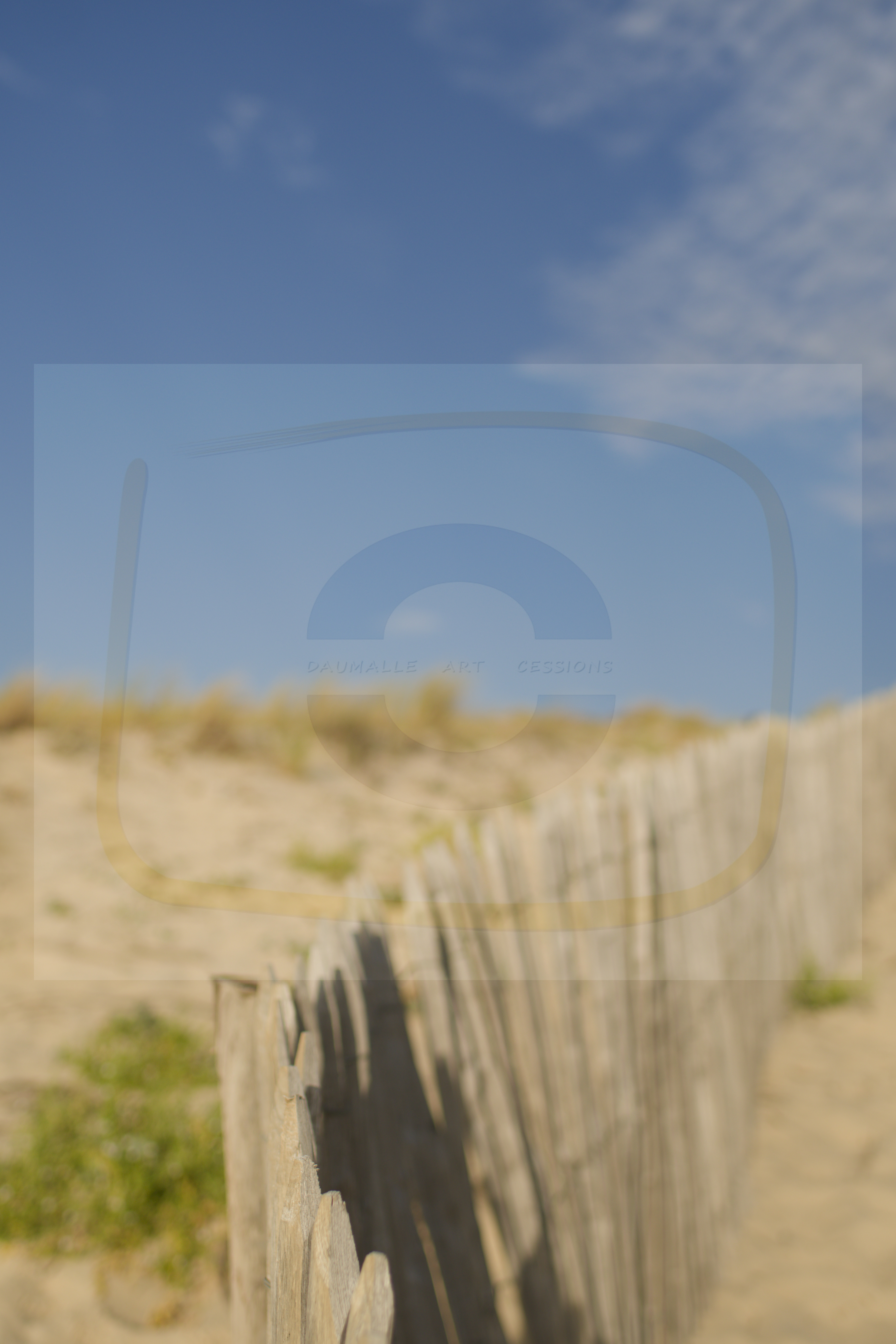  dsc3056 dxo 281022025 1