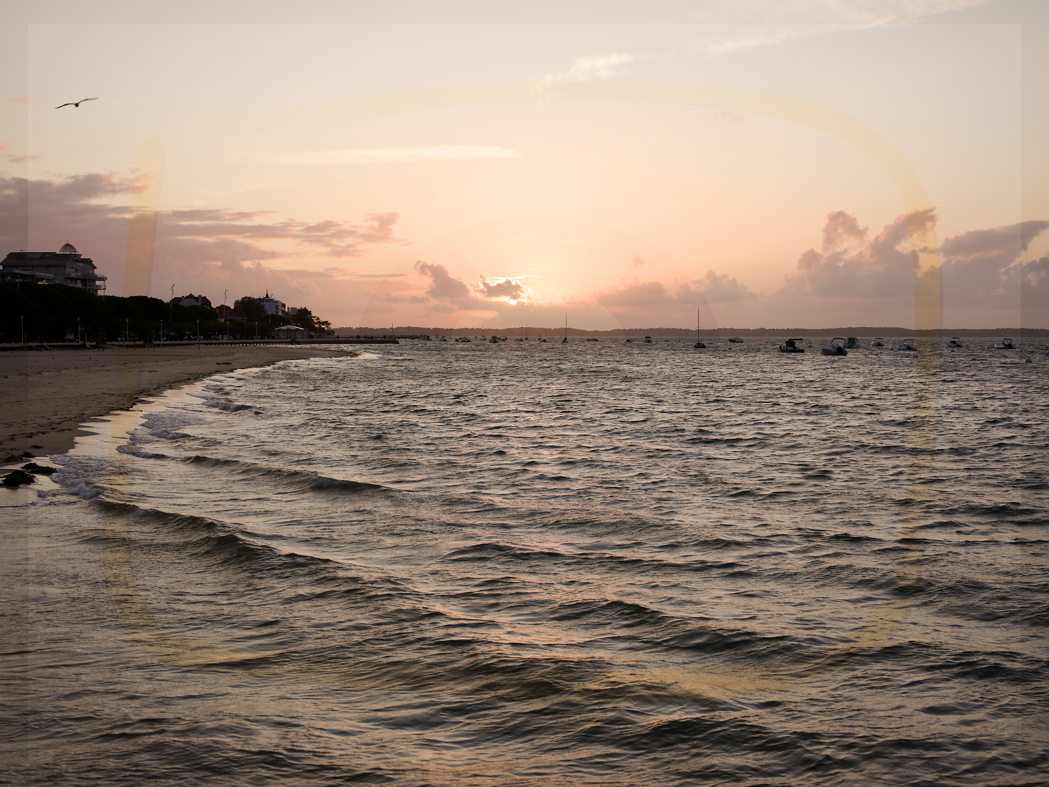 Dscf5443 dxo 08 01112025