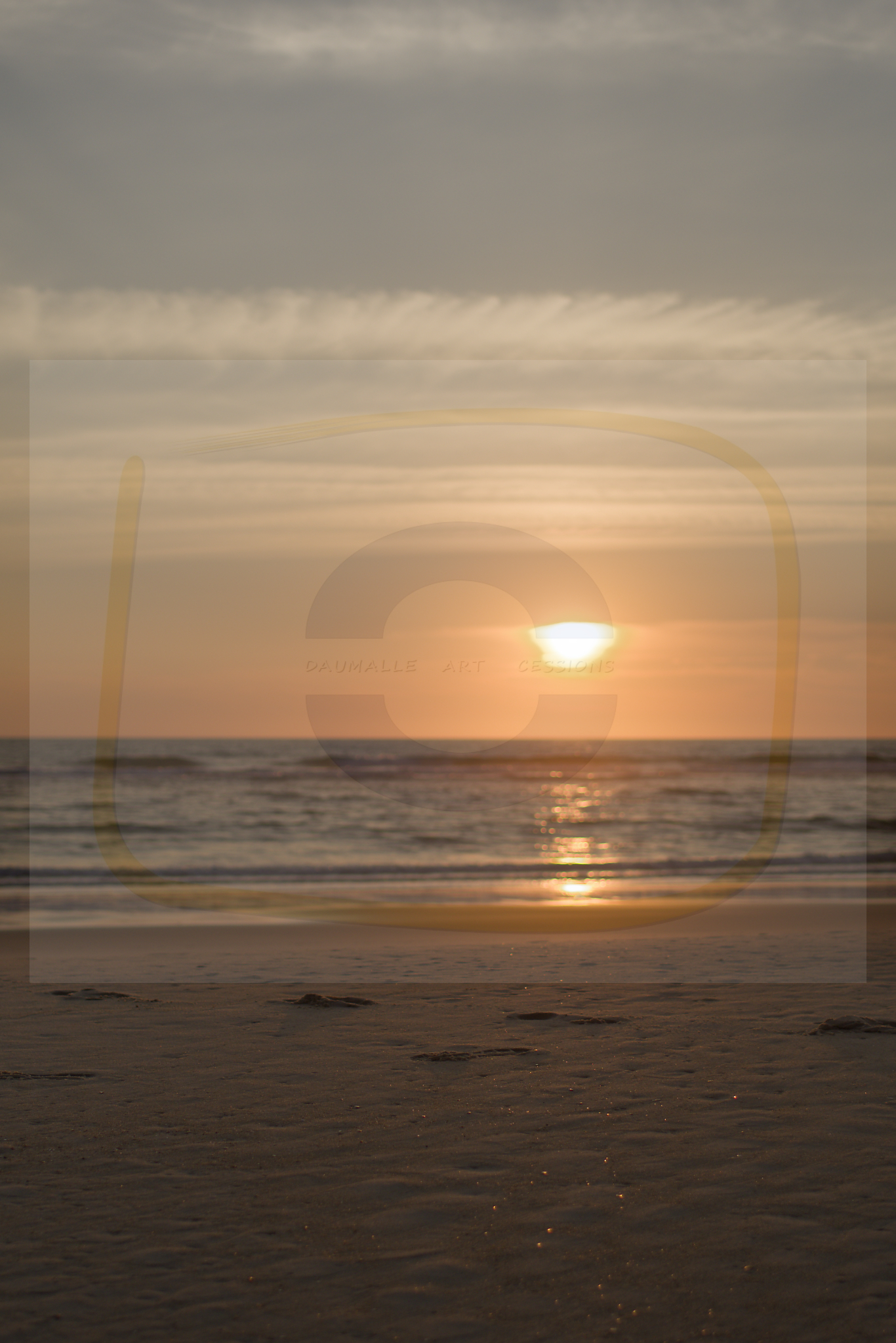  dsc2160 dxo 08 24102025