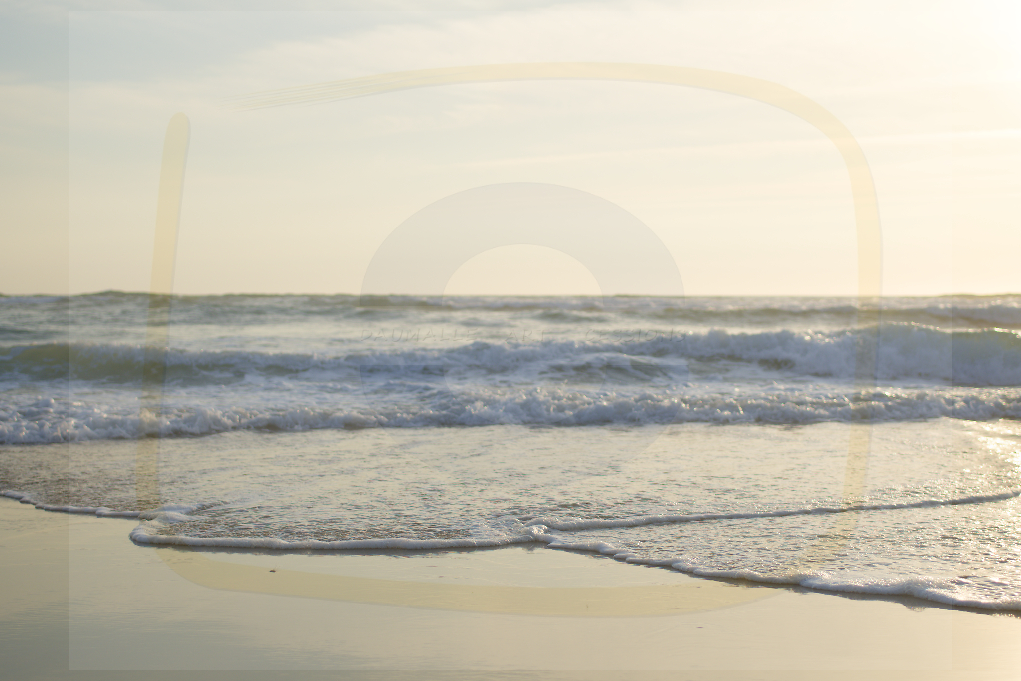  dsc2118 dxo 08 24102025