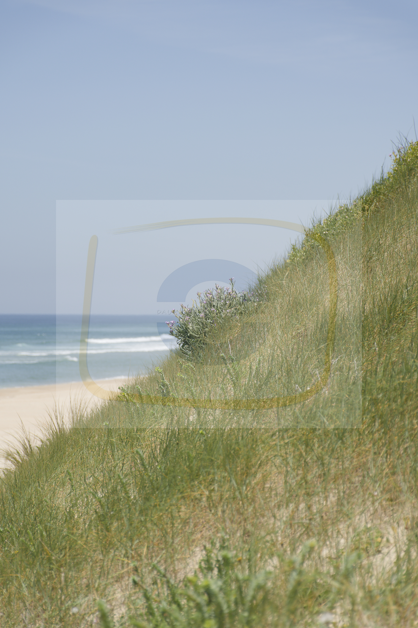  dsc4763 dxo 08 05112025